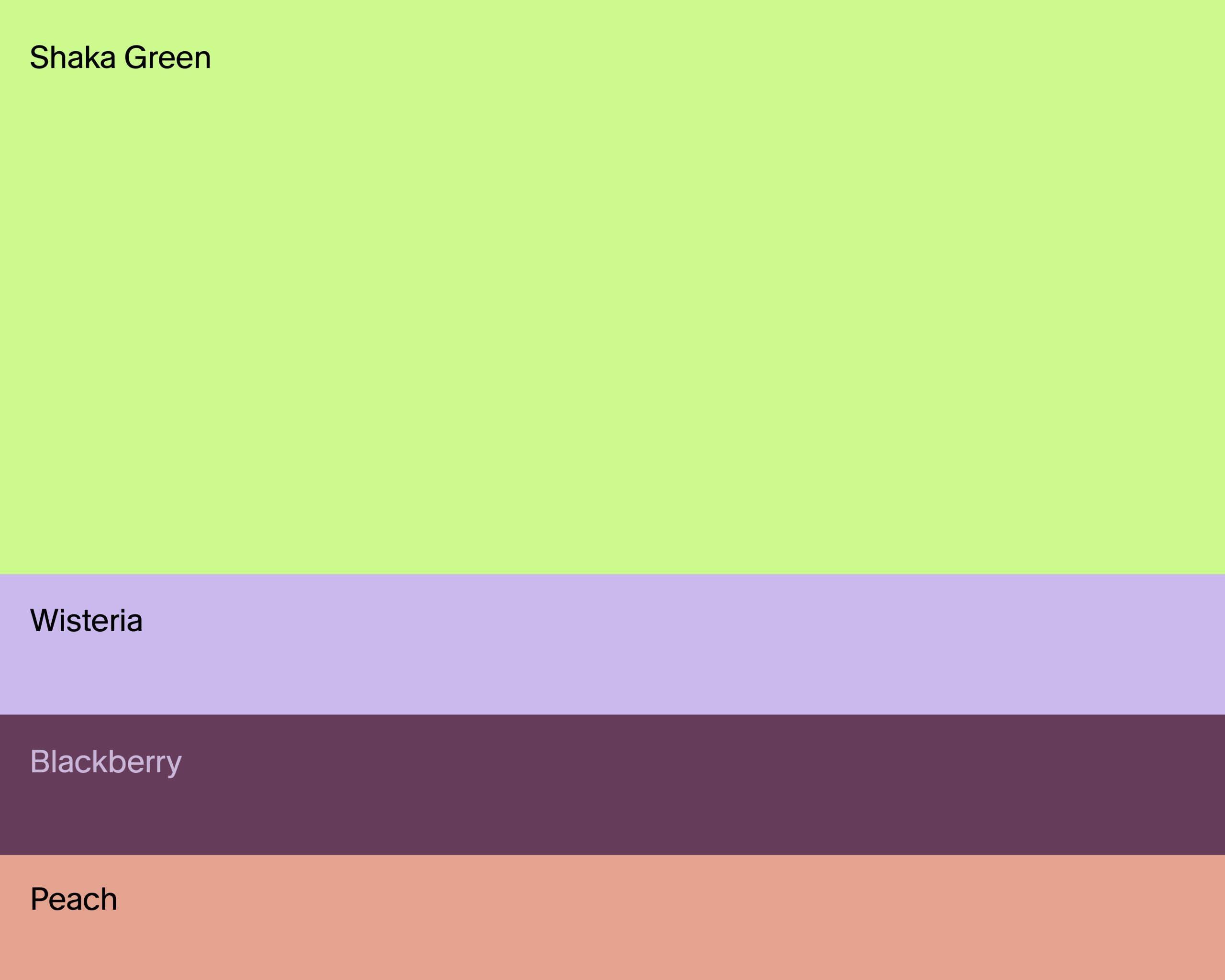 Studio-Nuvole-Shaka-palette